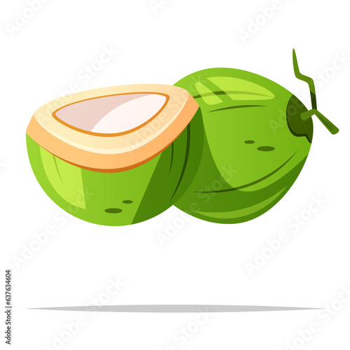 Green coconut vector isolated illustration