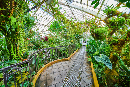 Tile and elaborate metal walkway with grates and room full of plants in greenhouse