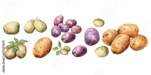 potato clipart, isolated vector illustration.