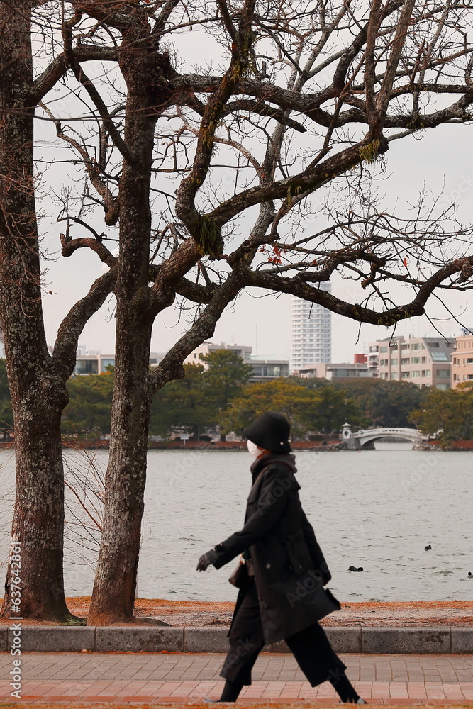 公園の池と通り人 公園の池と通り人