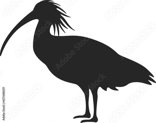 トキのシルエットのイラスト