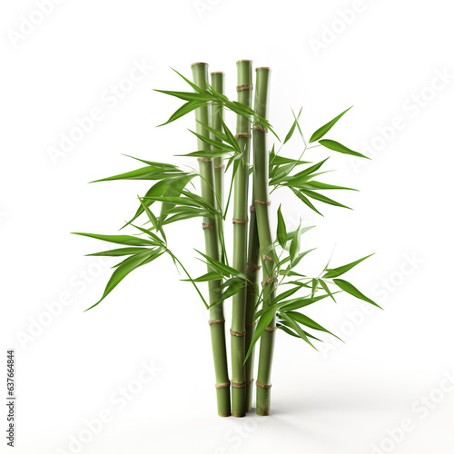 Image of green bamboo tree on white background. Nature. Illustration  Generative AI.