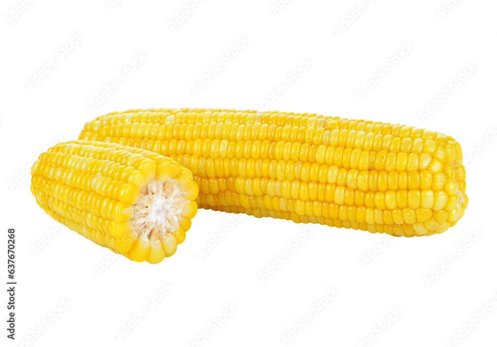 Corn on the cob kernels transparent png Corn on the cob kernels transparent png