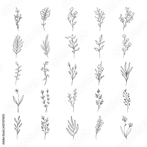 plant hand drawn vector set