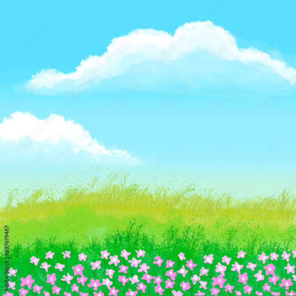 The fields were filled with pink flowers, behind a sky of blue and white clouds