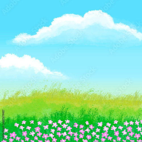 The fields were filled with pink flowers, behind a sky of blue and white clouds