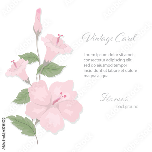 Pink Flowers invitation card  frame template on white background. Floral nature greeting card can be used for wedding, birthday, holiday, flyers, brochure or other background.Vector illustration EPS