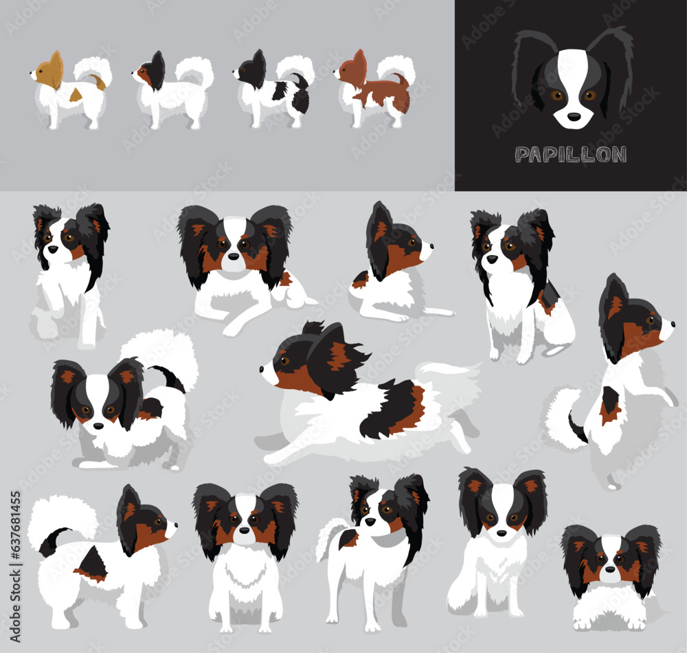 Obraz premium Dog Papillon Tricolor Coat Cartoon Vector Illustration Color Variation Set