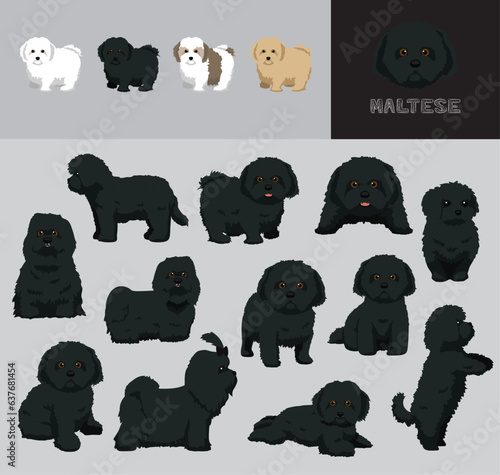 Fototapeta Naklejka Na Ścianę i Meble -  Dog Maltese Black Hair Cartoon Vector Illustration Color Variation Set
