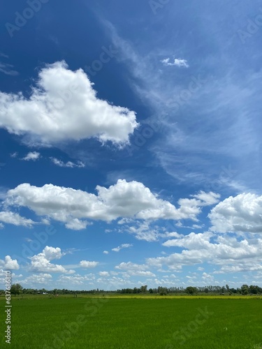 sky over fields
