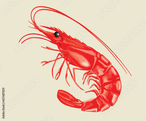 Shrimp vector, popular food like real, isolated on background