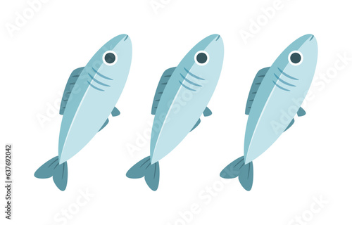 fish with good quality and good design