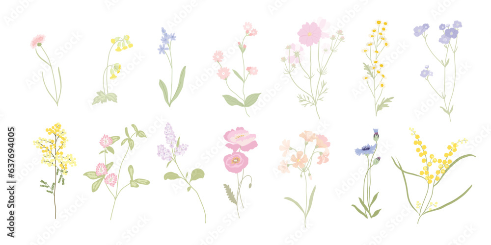 Spring and summer arrangements with small flower. Botanical illustration minimal style. - obrazy, fototapety, plakaty 