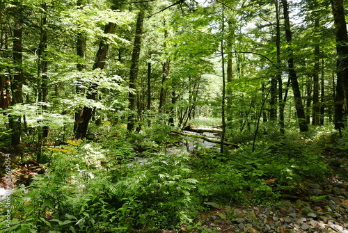 Kamikochi  Upper Highlands  is a remote mountainous highland valley within the Hida Mountains range  in the western region of Nagano Prefecture  Japan. Japanese hiking and trekking.