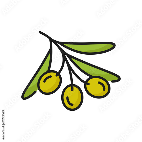 Green olive berry with leaves on branch isolated natural food color line icon. Vector olive veggies, extra virgin oil ingredient, leaf and fruit