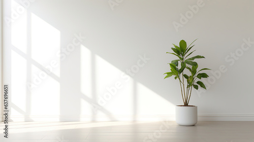 a modern white wall with a potted indoor plant in one corner.Generative Ai