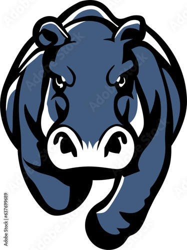 animal angry hippo runs to the front