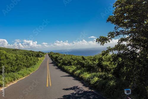 Remote area road of Hawaii island of Maui