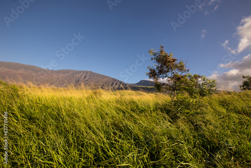 Remote area of Hawaii island of Maui