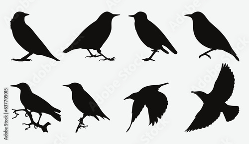 Tableau sur toile Graceful Starling Set: Exquisite Silhouette Collection for Creative Projects