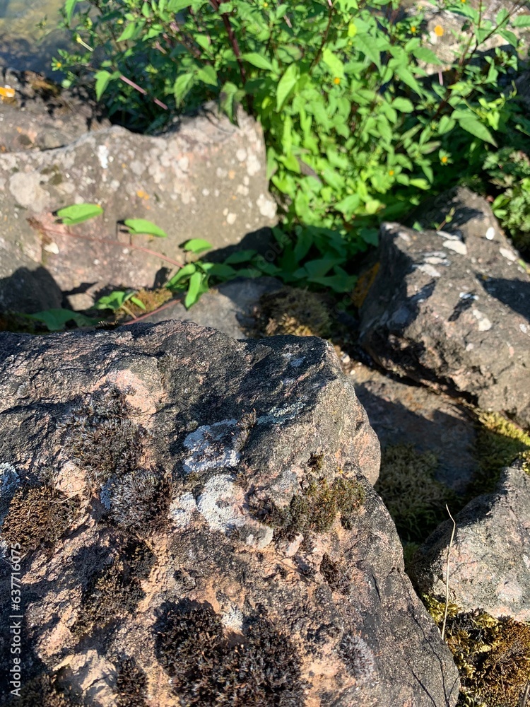 Fototapeta premium stone wall