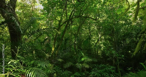 Drone view of Bali. Tropical forest interior. Nature background of a rainforest photo