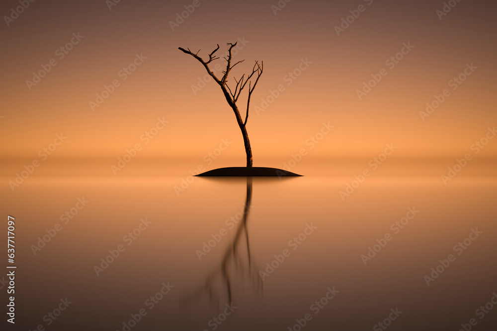 Dry single tree on a small island in the open sea.