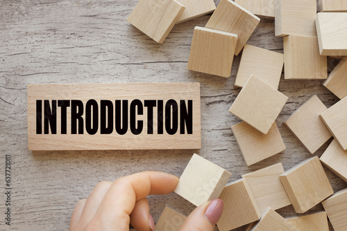 Introduction. text on wooden blocks near cubes