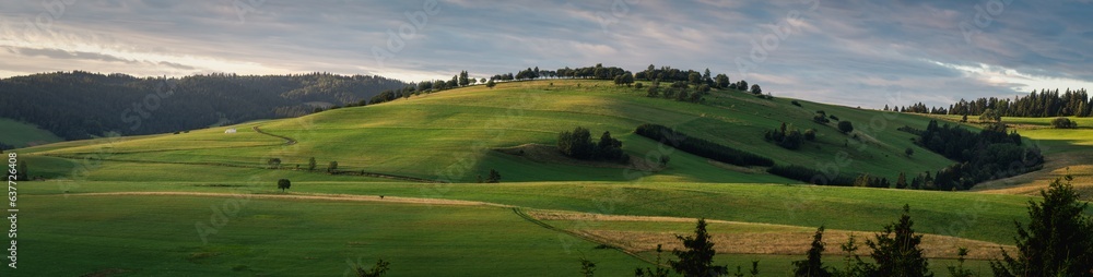 Pieniny, Panorama zielonego wzgórza w Małych Pieninach, Pieniny Spiskie, Kacwin, Widok z Łapsz Niżnych