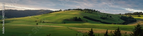 Pieniny, Panorama zielonego wzgórza w Małych Pieninach, Pieniny Spiskie, Kacwin, Widok z Łapsz Niżnych © Piotr Szpakowski
