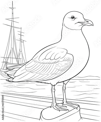 gull bird coloring page vector illustration
