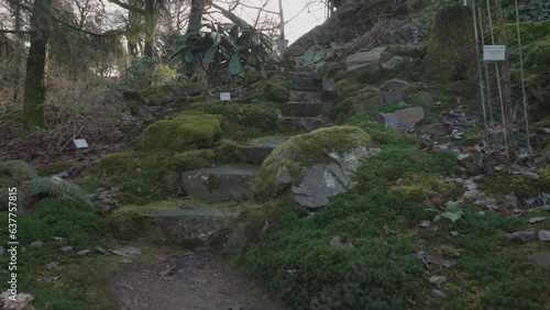 Walking Stairs at a Rocky and Mossy Garden, Gothenburg Botanical Garden, Gimbal