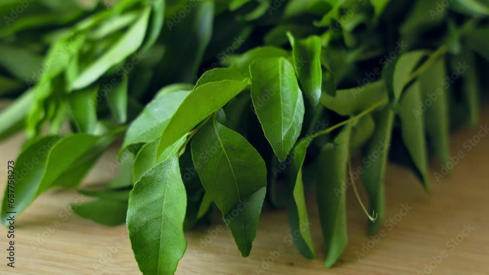 A closeup of a bunch of fresh, lush curry leaves on a wooden chop board A closeup of a bunch of fresh, lush curry leaves on a wooden chop board