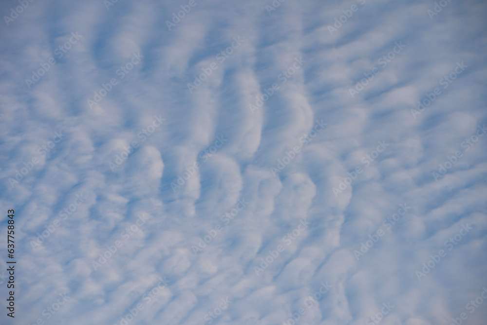 Obraz premium Beautiful blue sky with unusual white Altocumulus undulatus clouds, extraordinary cloud formation. White cirrocumulus clouds, altocumulus cloudy skies, stratocumulus cloud texture, blue sky background