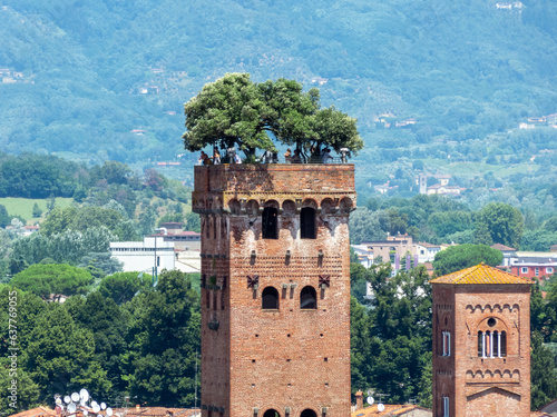 Torre Guinigi in Lucca, Italy 