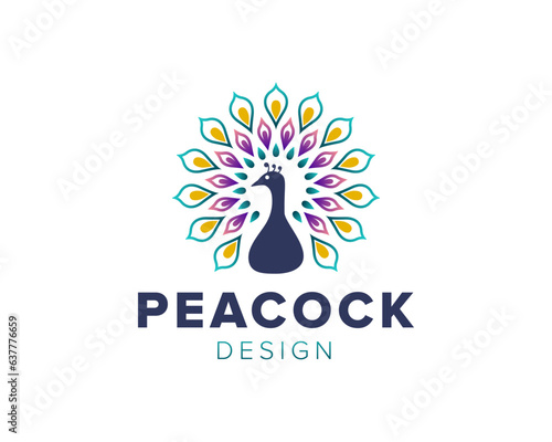 Peacock logo design. Colorful peafowl vector icon