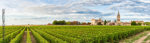 Photo Panoramic view of vineyards of Saint Emilion, Bordeaux, Gironde, France