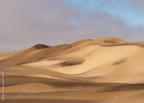 Gorgeous sand dunes in the Namib desert  Namibia