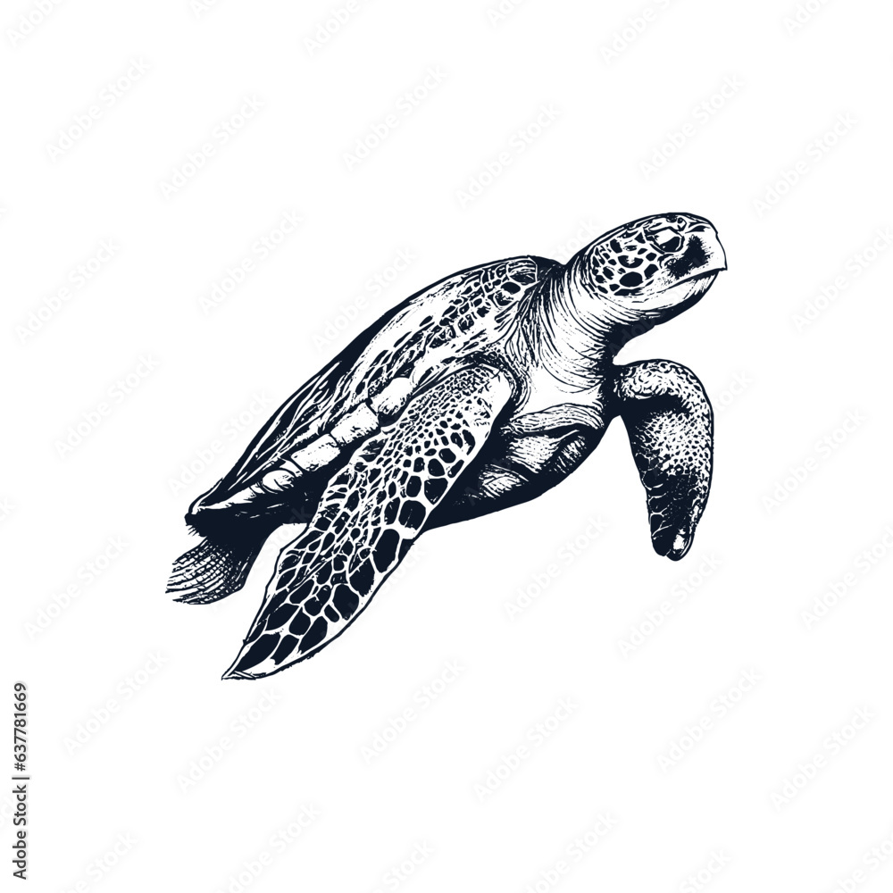 Obraz premium Sea Turtle Hand Drawn Engraving Style Underwater Animal Vector Illustration