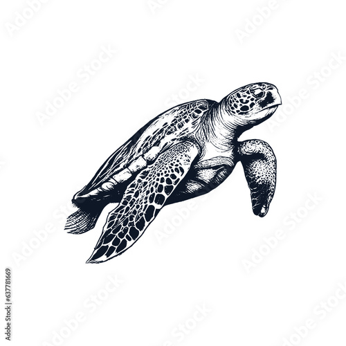Sea Turtle Hand Drawn Engraving Style Underwater Animal Vector Illustration