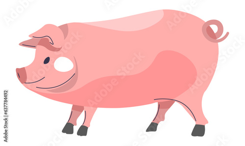 Pig livestock domestic animal, farming agriculture