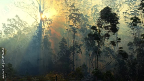 Heavy smoke from bushfire on windy day on drought season, Australia.