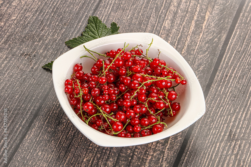 Sweet ripe red currant berries Sweet ripe red currant berries