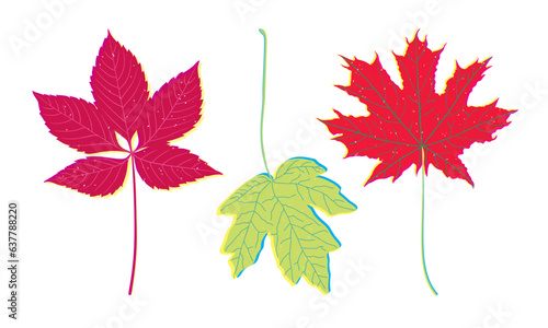 Hand drawn autumn leaves risograph style. Fall leaf isolated risoprint illustration. Colorful retro riso print graphic for fall event poster, greeting card, cover, etc.