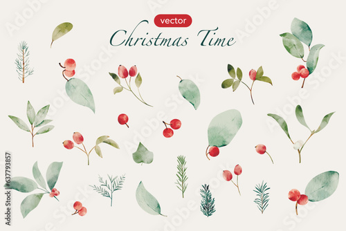 Watercolor Winter Botanical Elements Set. Floral Christmas Decorations, Delicate Winter Berries, Leaves, Vibrant Rosehip Berries, and Whimsical Spruce Needles. Vector illustration. 