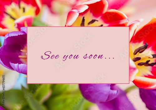 Composite of see you soon text in rectangle shape over colourful fresh flowers, copy space