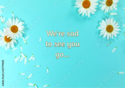 Composite of we're sad to see you go text with beautiful fresh daisies on blue background