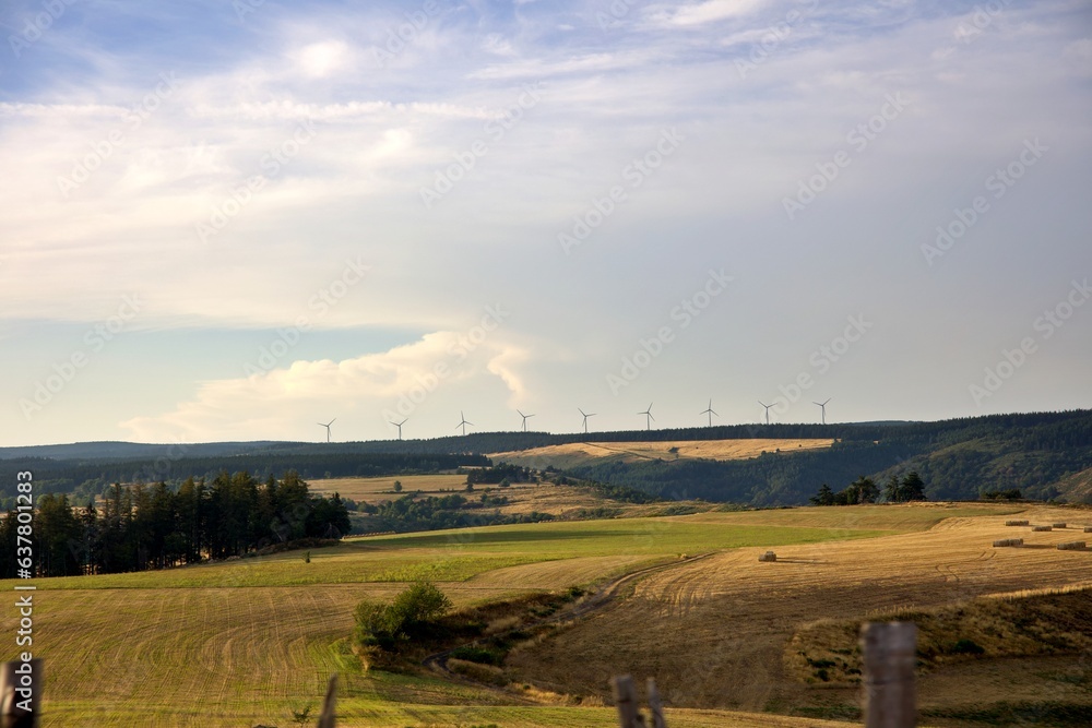 Fototapeta premium Éolienne électricité prairie paysage sécheresse été soleil