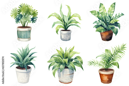 Set of houseplant watercolor style illustrations on clear background for print  patterns  wallpaper  books  website  decoration