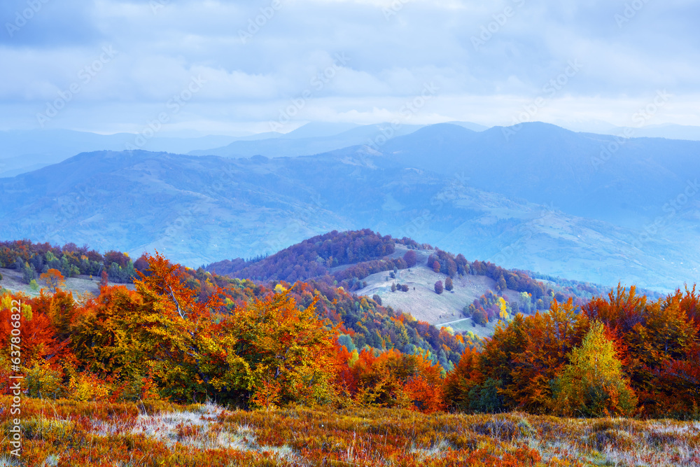 Autumn mountains with orange forest and blue hills. Landscape photography
